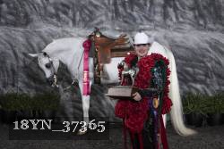 18YN_37365 thumbnail