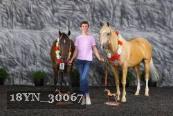 18YN_30067 thumbnail