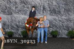 18YN_30223 thumbnail