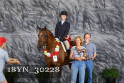 18YN_30228 thumbnail