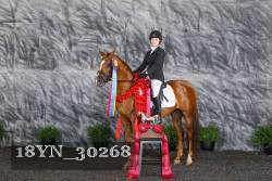 18YN_30268 thumbnail