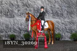 18YN_30269 thumbnail