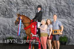 18YN_30272 thumbnail