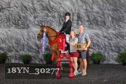 18YN_30277 thumbnail