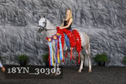 18YN_30305 thumbnail