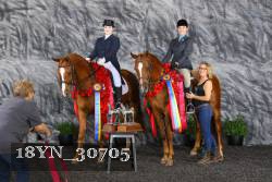 18YN_30705 thumbnail