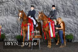 18YN_30710 thumbnail