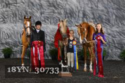 18YN_30733 thumbnail