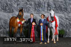 18YN_32713 thumbnail