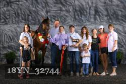 18YN_32744 thumbnail