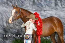 18YN_08858 thumbnail