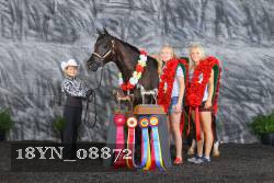 18YN_08872 thumbnail