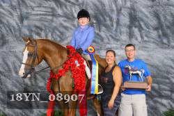 18YN_08907 thumbnail