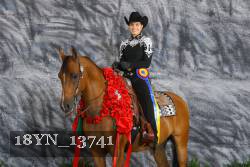18YN_13741 thumbnail