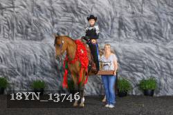 18YN_13746 thumbnail