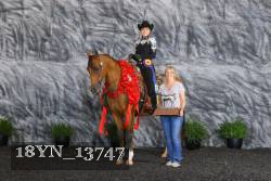 18YN_13747 thumbnail