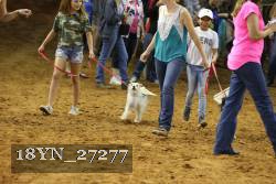 18YN_27277 thumbnail
