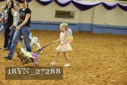 18YN_27288 thumbnail