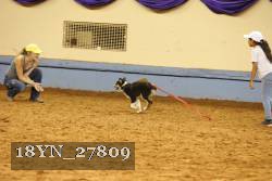 18YN_27809 thumbnail