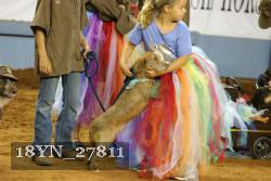 18YN_27811 thumbnail