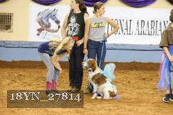 18YN_27814 thumbnail