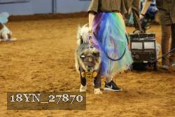 18YN_27870 thumbnail