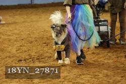 18YN_27871 thumbnail