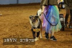 18YN_27872 thumbnail