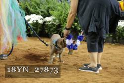 18YN_27873 thumbnail