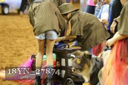 18YN_27874 thumbnail