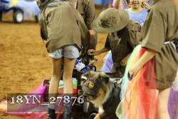 18YN_27876 thumbnail