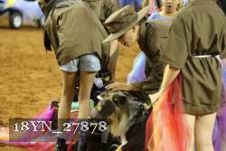 18YN_27878 thumbnail