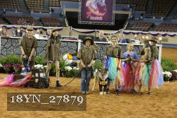 18YN_27879 thumbnail
