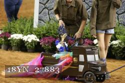 18YN_27883 thumbnail