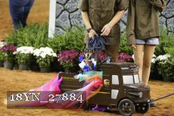 18YN_27884 thumbnail