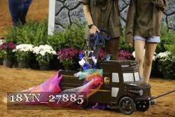 18YN_27885 thumbnail