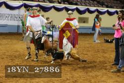 18YN_27886 thumbnail