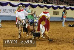 18YN_27887 thumbnail