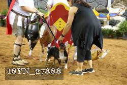 18YN_27888 thumbnail