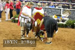 18YN_27891 thumbnail