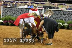 18YN_27893 thumbnail