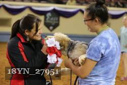 18YN_27951 thumbnail