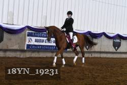 18YN_19231 thumbnail