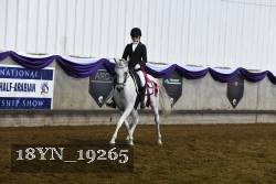 18YN_19265 thumbnail