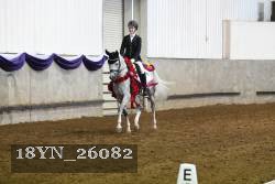 18YN_26082 thumbnail