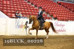 19BUCK_00228 thumbnail