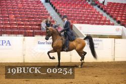 19BUCK_00254 thumbnail
