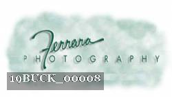 19BUCK_00008 thumbnail