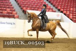 19BUCK_00503 thumbnail