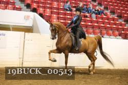 19BUCK_00513 thumbnail